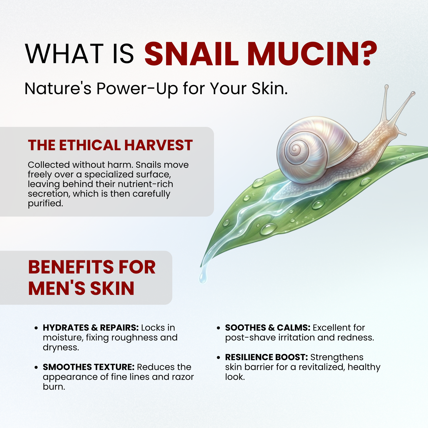 Snail Repair Complete Skincare Range – Cleanser + Essence + Cream